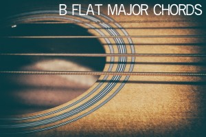 Acoustic Bass Strings and Sound Hole